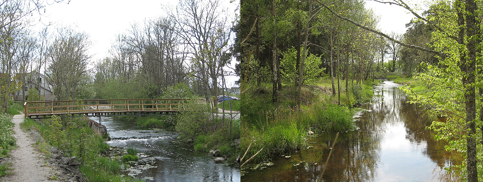 Till vänster: 2008 byggdes gångbron vid kvarndammen i Dalhem. Till höger: Vy av ån längs med vandringsleden. Foto: 2008